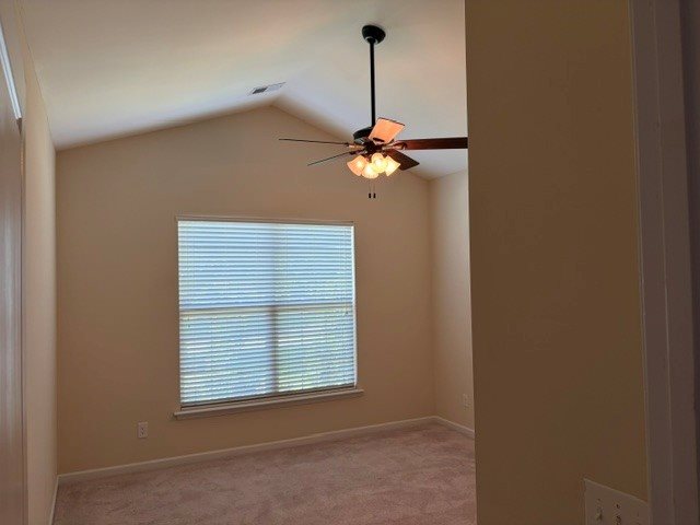 Gallery Photo 4